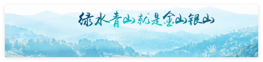 我国是全球增绿最多的国家